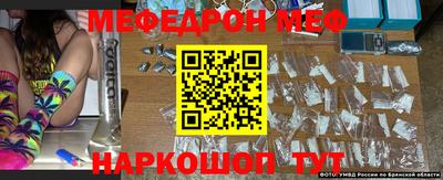 стаф Кингисепп