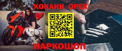 стаф Кингисепп
