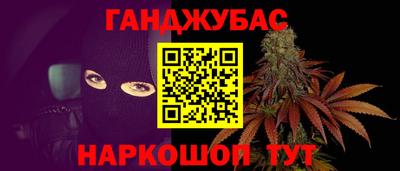 стаф Кингисепп