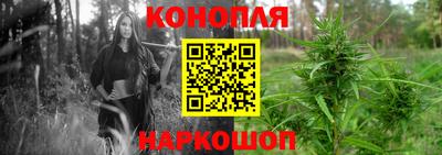 стаф Кингисепп