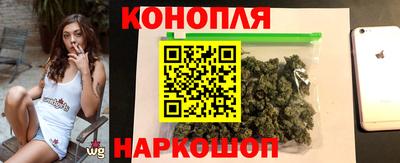 стаф Кингисепп
