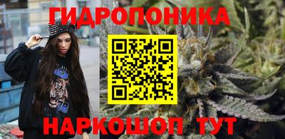 стаф Кингисепп