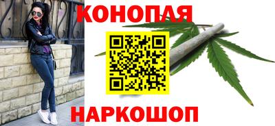 стаф Кингисепп