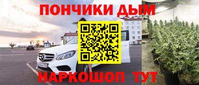 стаф Кингисепп