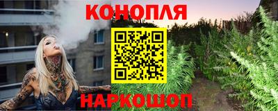 стаф Кингисепп