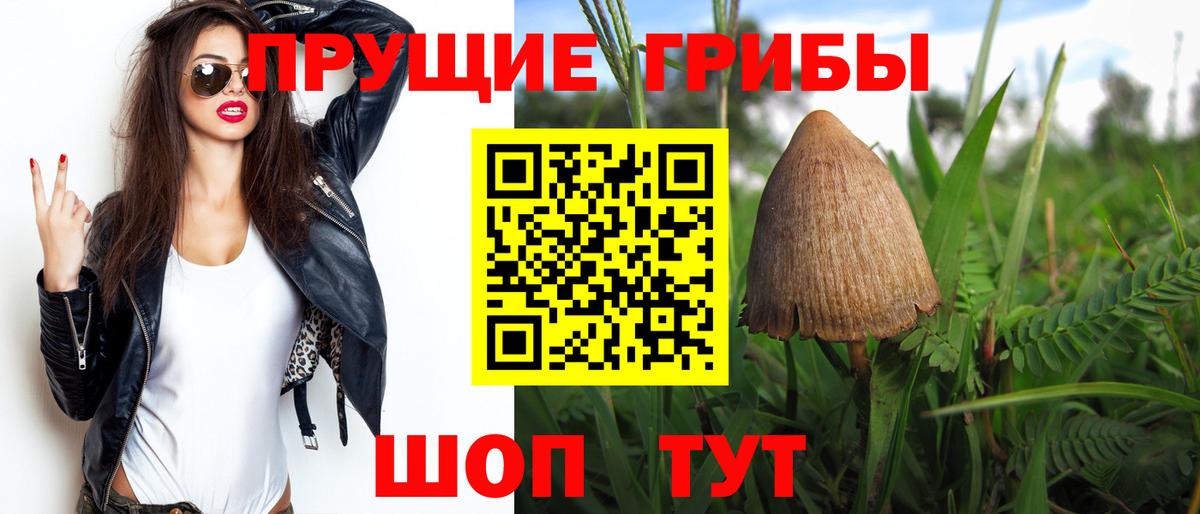 Галлюциногенные грибы Psilocybine cubensis Армавир
